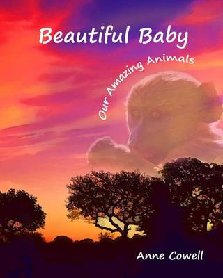 Cover of Beautiful Baby