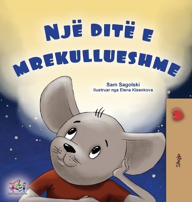 Book cover for A Wonderful Day (Albanian Book for Kids)