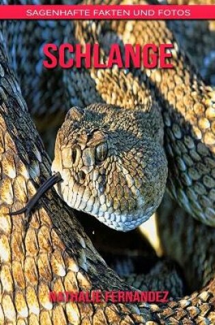 Cover of Schlange