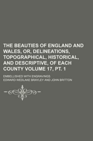 Cover of The Beauties of England and Wales, Or, Delineations, Topographical, Historical, and Descriptive, of Each County Volume 17, PT. 1; Embellished with Eng