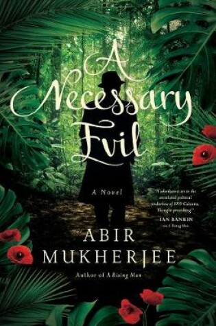 Cover of A Necessary Evil