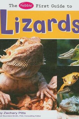 Cover of The Pebble First Guide to Lizards