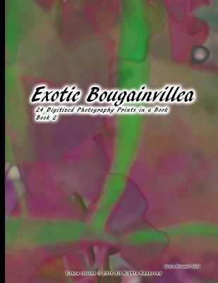 Book cover for Exotic Bougainvillea 24 Digitized Photography Prints in a Book Book 2