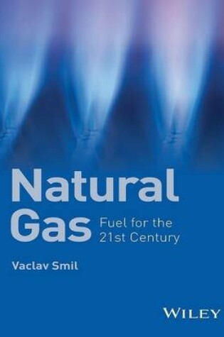 Cover of Natural Gas: Fuel for the 21st Century 1st Edition