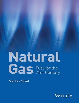 Book cover for Natural Gas: Fuel for the 21st Century 1st Edition