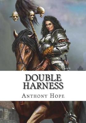 Book cover for Double Harness