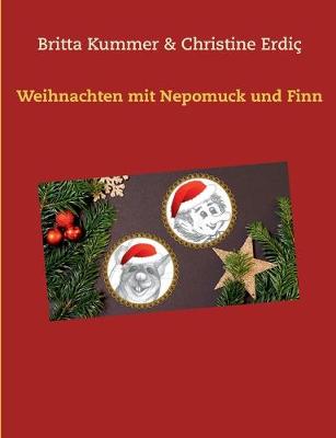 Book cover for Weihnachten mit Nepomuck und Finn