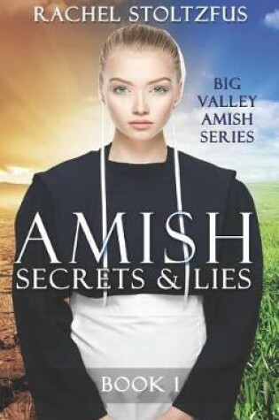 Cover of Amish Secrets and Lies