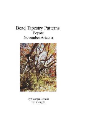 Book cover for Bead Tapestry Patterns Peyote November Arizona