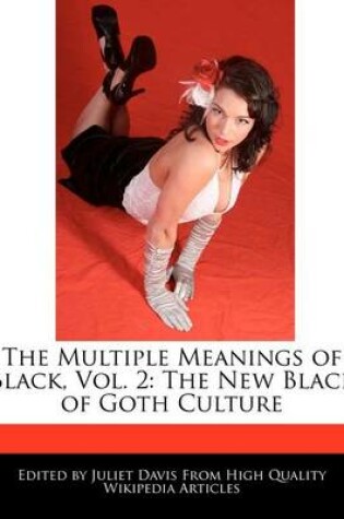 Cover of The Multiple Meanings of Black, Vol. 2