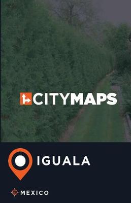 Book cover for City Maps Iguala Mexico