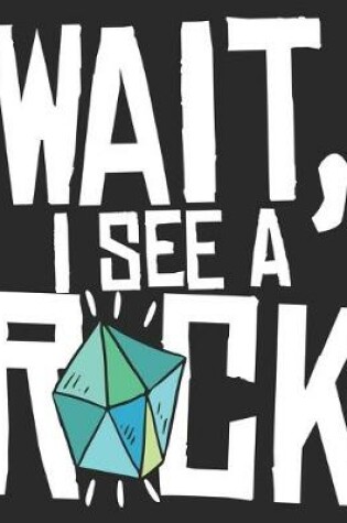 Cover of Wait, I See A Rock