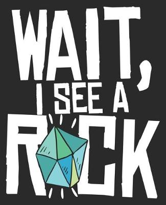 Book cover for Wait, I See A Rock