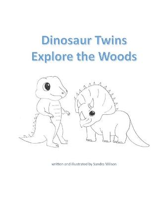 Book cover for Dinosaur Twins Explore the Woods