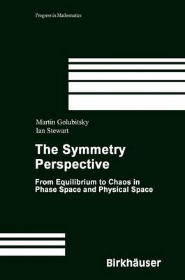 Book cover for The Symmetry Perspective