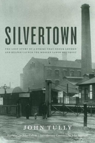 Cover of Silvertown