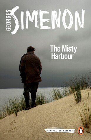 Book cover for The Misty Harbour