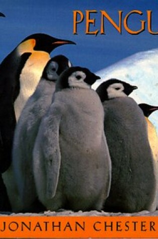 Cover of Penguins Postcard Book