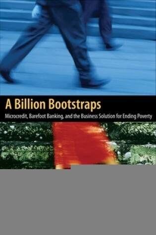 Cover of A Billion Bootstraps: Microcredit, Barefoot Banking, and The Business Solution for Ending Poverty