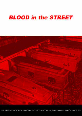 Book cover for Blood in the Street