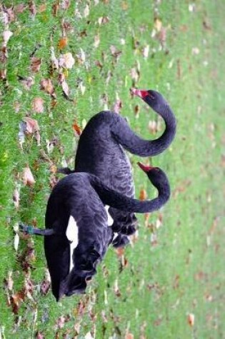 Cover of Black Swans in an English Park Journal