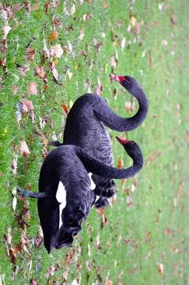 Book cover for Black Swans in an English Park Journal