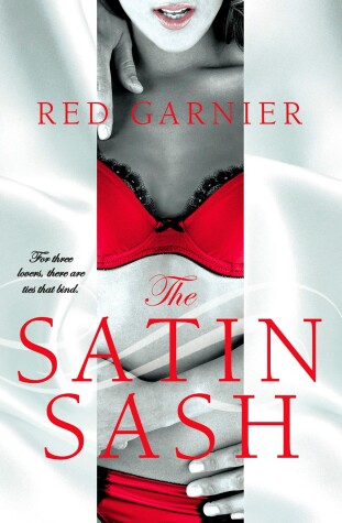 Book cover for The Satin Sash