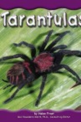 Cover of Tarantulas