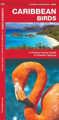 Book cover for Caribbean Birds