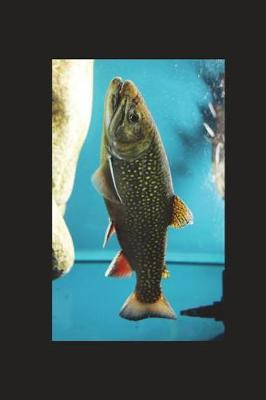 Book cover for Salvelinus Fontinalis Brook Trout in an Aquarium Journal