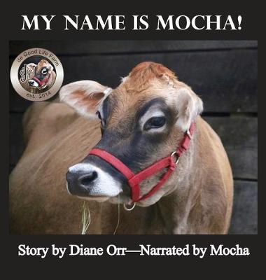 Book cover for My Name is Mocha