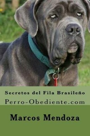 Cover of Secretos del Fila Brasile o