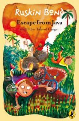 Book cover for Escape from Java