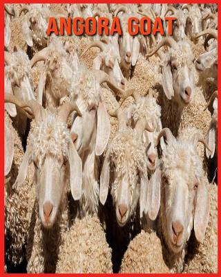 Book cover for Angora Goat