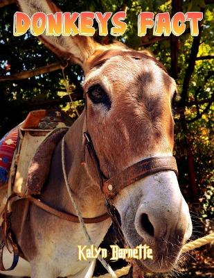 Book cover for Donkeys Fact