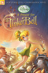 Book cover for Disney Fairies Graphic Novel #6