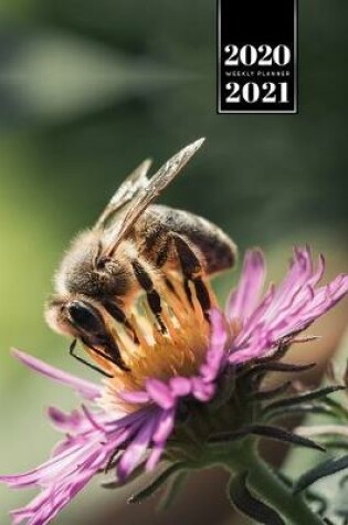 Cover of Bee Insects Beekeeping Beekeeper Week Planner Weekly Organizer Calendar 2020 / 2021 - Purple Flower