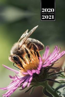 Book cover for Bee Insects Beekeeping Beekeeper Week Planner Weekly Organizer Calendar 2020 / 2021 - Purple Flower