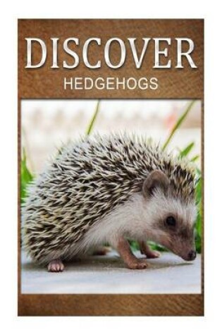 Cover of Hedge Hogs - Discover