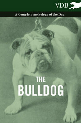 Cover of The Bulldog - A Complete Anthology of the Dog -