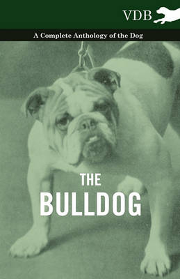 Book cover for The Bulldog - A Complete Anthology of the Dog -