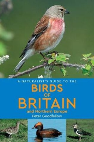 Cover of A Naturalist's Guide to the Birds of Britain and Northern Europe (2nd edition)