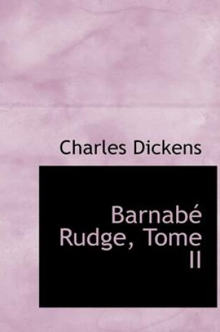 Cover of Barnabe Rudge, Tome II