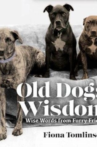 Cover of OLD DOGS' WISDOM