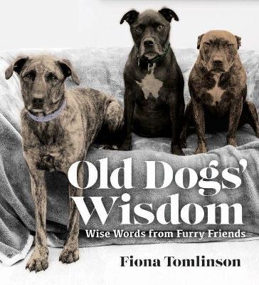 Book cover for OLD DOGS' WISDOM