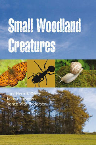 Cover of Small Woodland Creatures