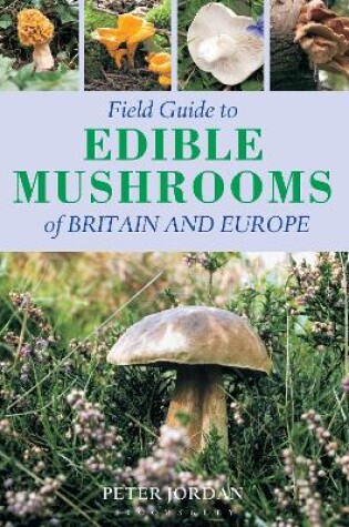 Cover of Field Guide To Edible Mushrooms Of Britain And Europe