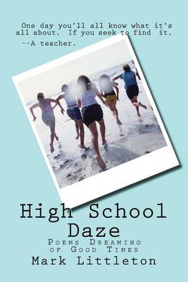 Book cover for High School Daze