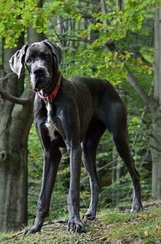 Cover of The Majestic Great Dane Canine