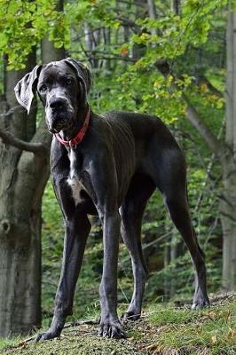 Book cover for The Majestic Great Dane Canine